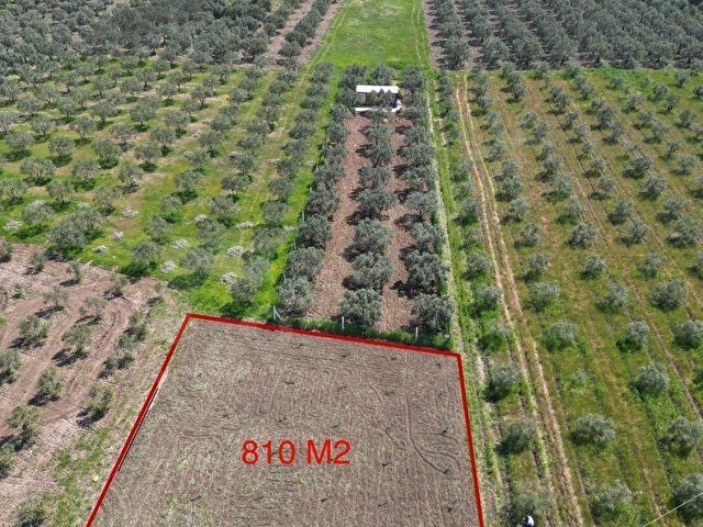DOĞUCA MAHALLESİNDE SATILIK 810 M2 TARLA