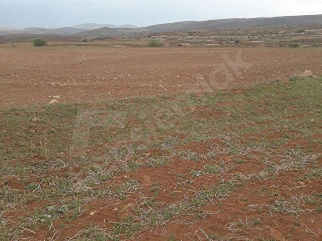 ** 2457m **TEK TAPU** ÇANKAYA-EVCİLERde **ACİL SATILIK ** Satılık Tarla - Görsel 5