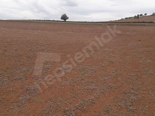 ** 2457m **TEK TAPU** ÇANKAYA-EVCİLERde **ACİL SATILIK ** Satılık Tarla - Görsel 4