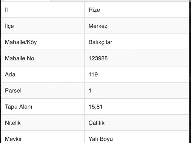 RİZE BALIKÇILAR SATILIK 7620 m2 ÇAY BAHÇESİ VE 2 KATLI BAKIMLI EV - Görsel 19