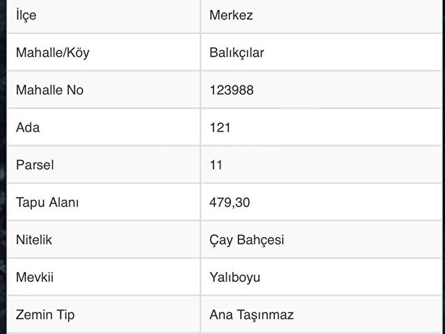 RİZE BALIKÇILAR SATILIK 7620 m2 ÇAY BAHÇESİ VE 2 KATLI BAKIMLI EV - Görsel 22