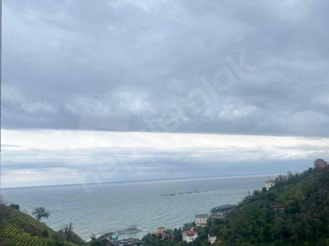 RİZE BALIKÇILAR SATILIK 7620 m2 ÇAY BAHÇESİ VE 2 KATLI BAKIMLI EV