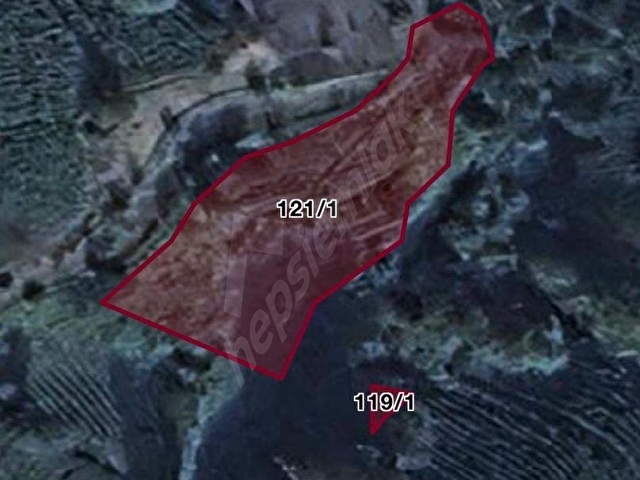 RİZE BALIKÇILAR SATILIK 7620 m2 ÇAY BAHÇESİ VE 2 KATLI BAKIMLI EV - Görsel 11