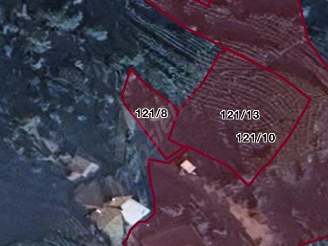 RİZE BALIKÇILAR SATILIK 7620 m2 ÇAY BAHÇESİ VE 2 KATLI BAKIMLI EV - Görsel 15