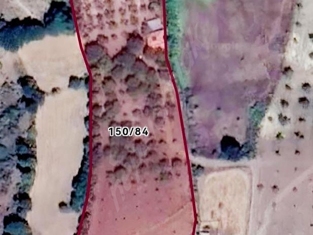 1 Haftalık Plan Savaştepede 11.317 M2 Meyve Bahçesi - Görsel 12