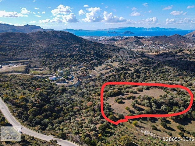 Bağlada İmar Sınırında Yatırım Değeri Yüksek Satılık Tarla - Görsel 3