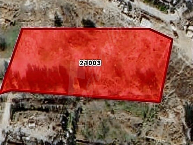 Avcılar Ambarlı da full deniz 4,600,bintl (143m2,paylı) Arsadan