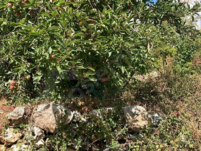 KAŞ GÖMBEDE KONUT İMARLI SATILIK MÜSTAKİL PARSEL - Görsel 2