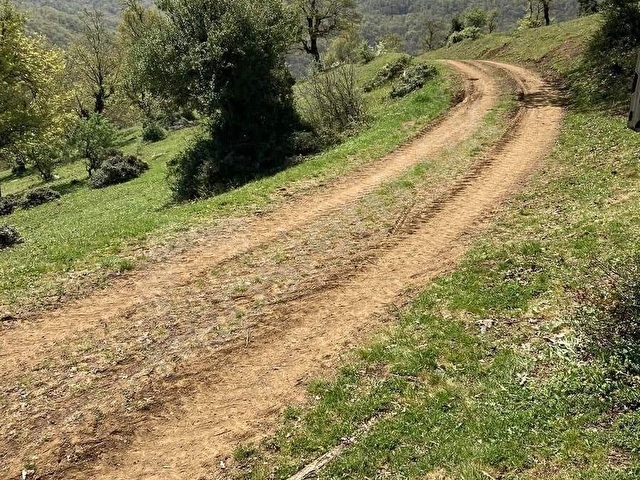 YEŞİLİ BOL ASMALI KÖYÜNDE RESMİ YOLU OLAN SATILIK MÜSTAKİL TARLA - Görsel 14