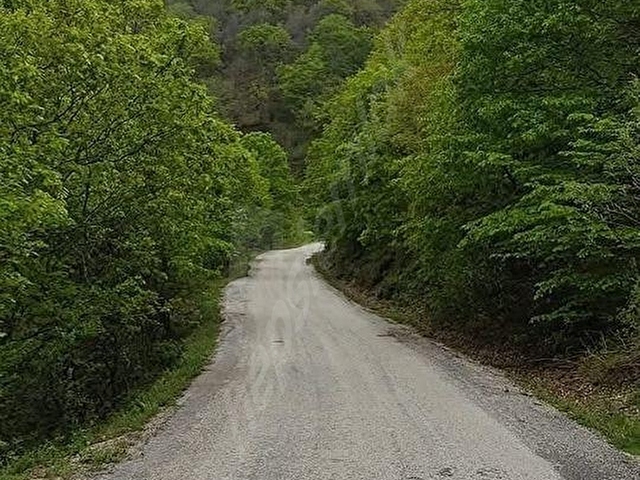 YEŞİLİ BOL ASMALI KÖYÜNDE RESMİ YOLU OLAN SATILIK MÜSTAKİL TARLA - Görsel 10