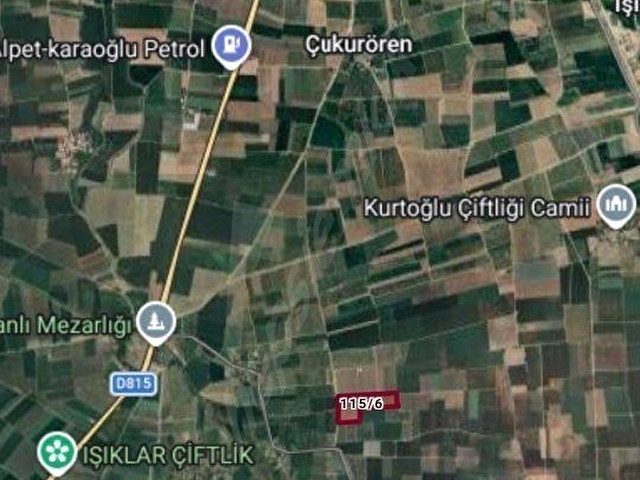 KARAKOÇ GAYRİMENKUL DN ARSLANLI KÖYÜNDE SATILIK PORTAKAL BAHÇESİ - Görsel 2