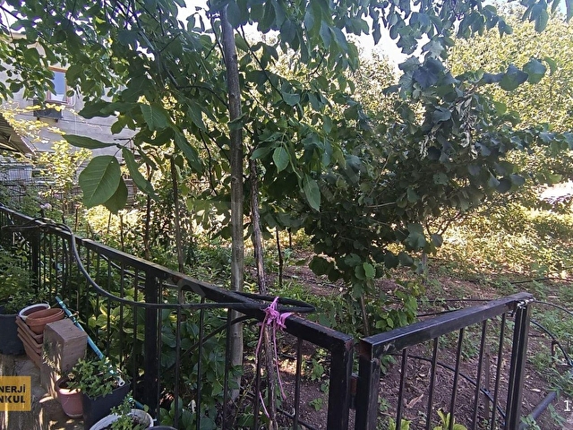 Bayındır Alankıyı Köyünde Satılık Kargir Ev, Tekel Bayi Ve Bahçe - Görsel 14