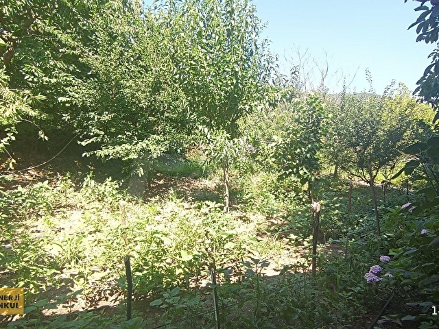 Bayındır Alankıyı Köyünde Satılık Kargir Ev, Tekel Bayi Ve Bahçe - Görsel 9