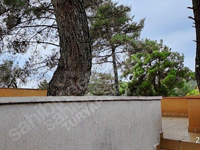 KIRIKLAR ANA YOL 7+2 DÖNÜM -YÜZME HAVUZU MÜŞTEMİLAT ÇİFTLİK EVİ - Görsel 6