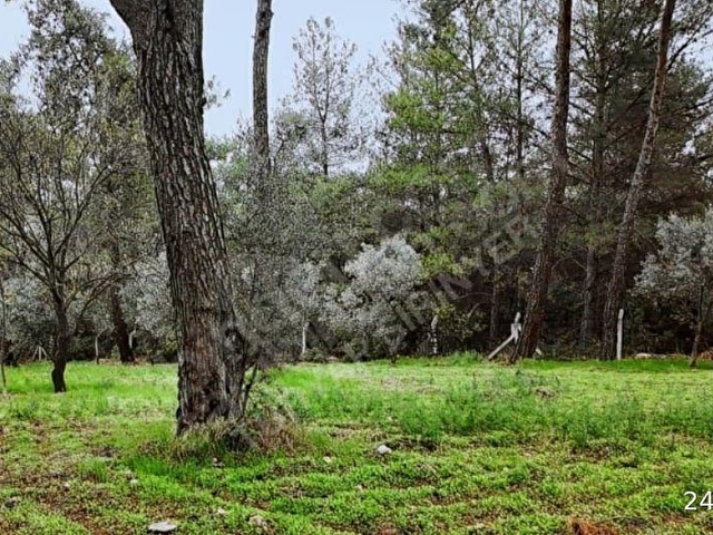 KIRIKLAR ANA YOL 7+2 DÖNÜM -YÜZME HAVUZU MÜŞTEMİLAT ÇİFTLİK EVİ - Görsel 20