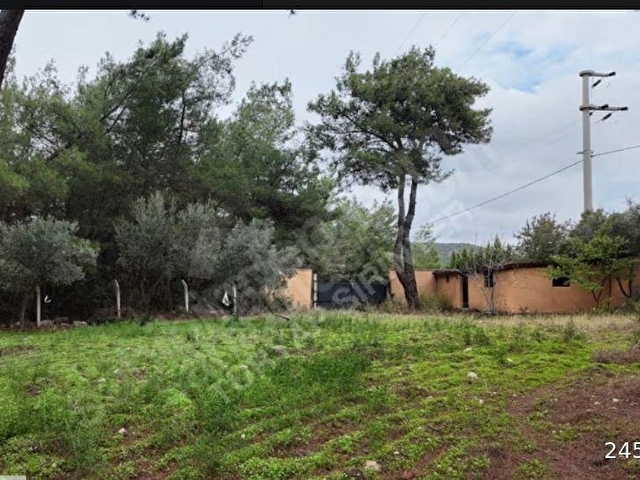 KIRIKLAR ANA YOL 7+2 DÖNÜM -YÜZME HAVUZU MÜŞTEMİLAT ÇİFTLİK EVİ - Görsel 18