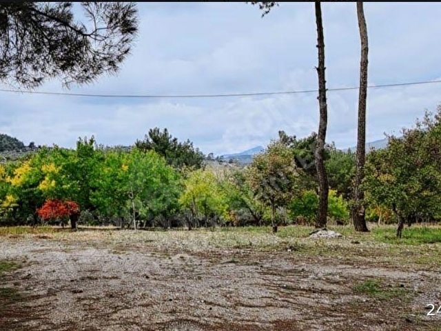 KIRIKLAR ANA YOL 7+2 DÖNÜM -YÜZME HAVUZU MÜŞTEMİLAT ÇİFTLİK EVİ - Görsel 14