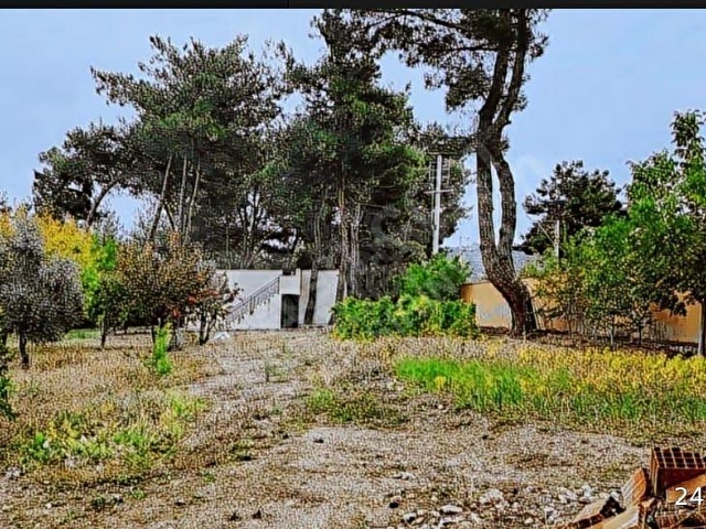 KIRIKLAR ANA YOL 7+2 DÖNÜM -YÜZME HAVUZU MÜŞTEMİLAT ÇİFTLİK EVİ - Görsel 17