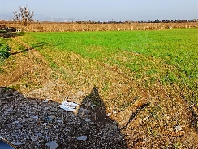 satılık Köyiçi depo besi çiftliği köy evi hobi bahçesi 2200 M2 - Görsel 13