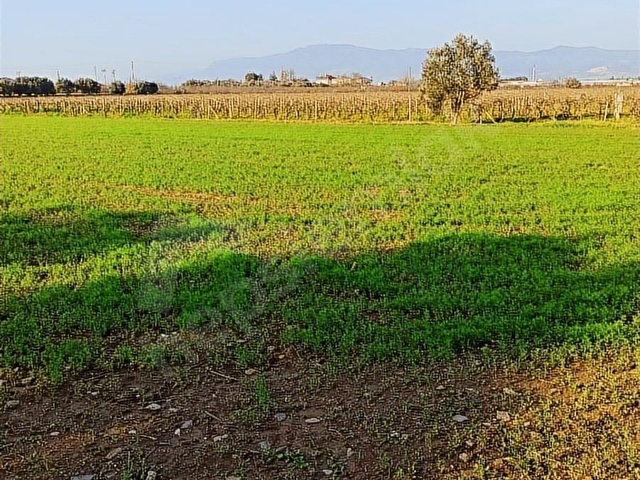 satılık Köyiçi depo besi çiftliği köy evi hobi bahçesi 2200 M2 - Görsel 6