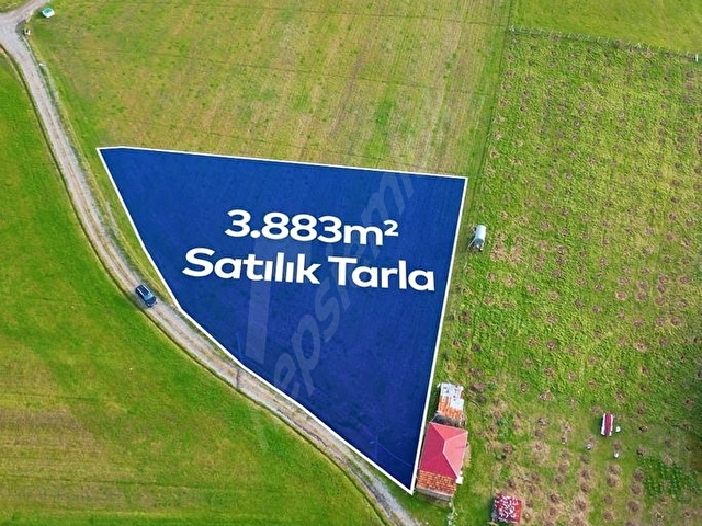 Bafra, Lengerli de SATILIK TARLA - Görsel 3