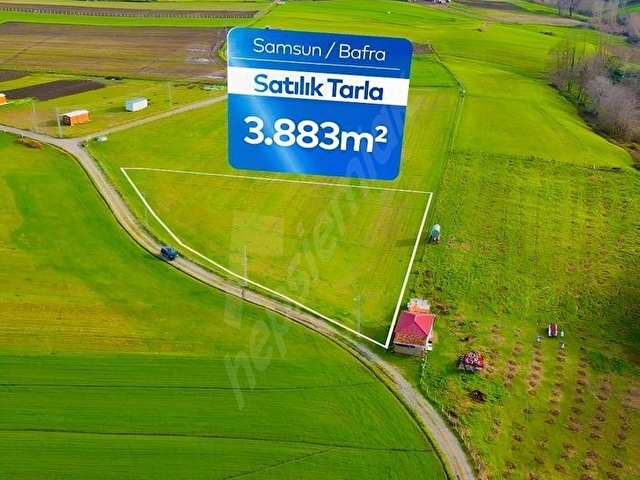 Bafra, Lengerli de SATILIK TARLA - Görsel 5