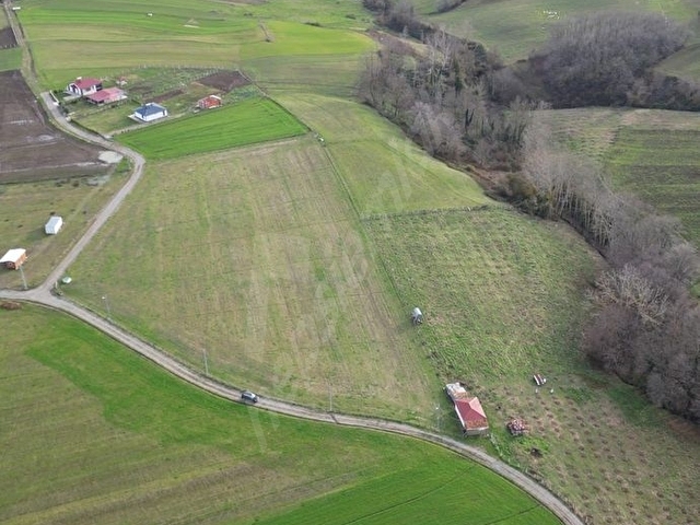 Bafra, Lengerli de SATILIK TARLA - Görsel 8