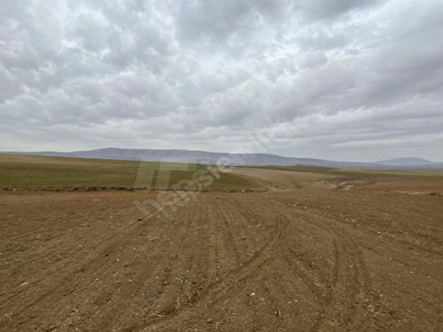 ziraat bankasi ndan hursunlu mahallesi nde tarla