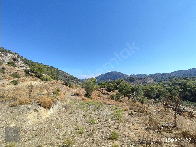 MUĞLA DALAMAN GÖCEK MAVİ YEŞİL SATILIK 500M² FIRSAT BAHÇE - Görsel 22