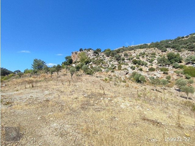 MUĞLA DALAMAN GÖCEK MAVİ YEŞİL SATILIK 500M² FIRSAT BAHÇE - Görsel 29