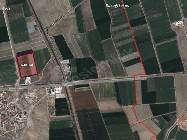 YASSIHÖYÜK MAHALLESİNDE ANAYOL YAKINI SATILIK TARLA HİSSESİ - Görsel 3