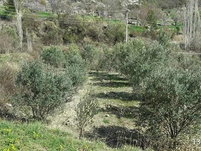 ALANYA YAYLA KONAK MAHALLESİ SATILIK EV VE ARSASI - Görsel 5