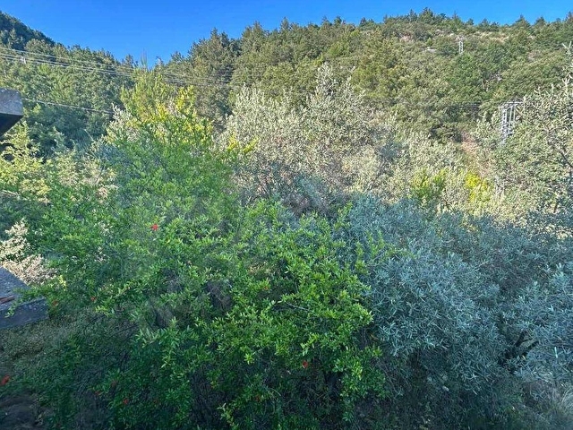 ALANYA YAYLA KONAK MAHALLESİ SATILIK EV VE ARSASI - Görsel 26