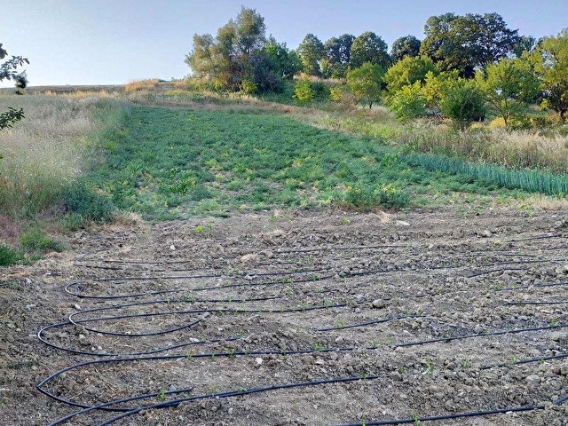 ERA PORTTAN DURSUNBEY KAVACIKTA SATILIK ARSA - Görsel 4