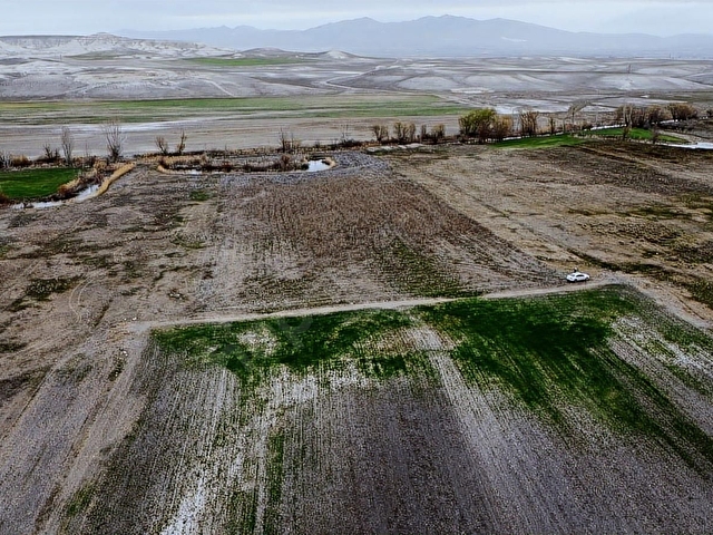 ESKİŞEHİR SİVRİHİSAR KURTŞEYH 2300 MT RESMİ YOL CEPHE SULU TARLA - Görsel 21