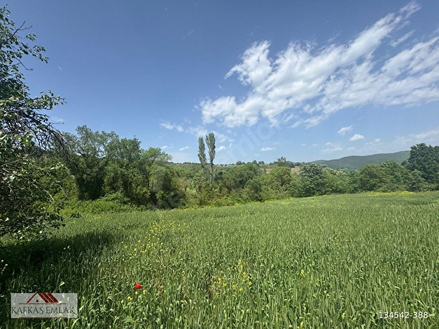 Bursa Mustafakemalpaşa Devecikonağı 5.600 m2 Satılık Tarla - Görsel 11