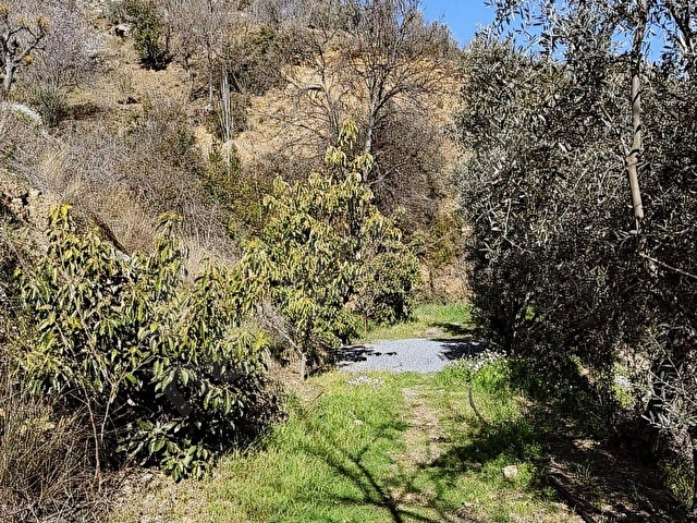 ALANYA YENİCEDE 1.717m2 DENİZ MANZARALI MÜSTAKİL YAŞAM ALANI - Görsel 17