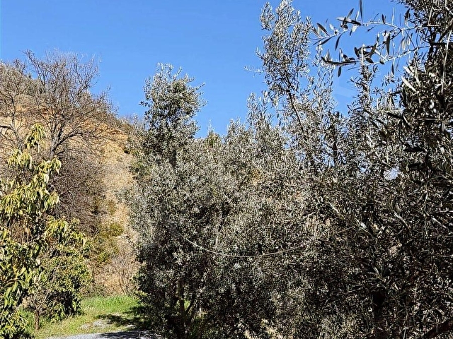 ALANYA YENİCEDE 1.717m2 DENİZ MANZARALI MÜSTAKİL YAŞAM ALANI - Görsel 16
