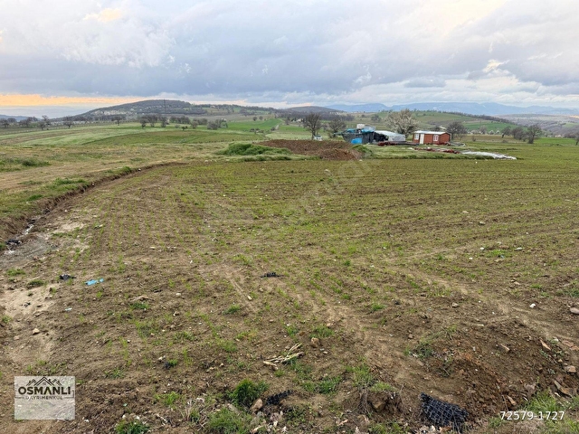 14 DÖNÜM SUYU VE YOLU OLAN KÖYE YAKIN KUPON ÇİFTLİK ARAZİSİ - Görsel 18