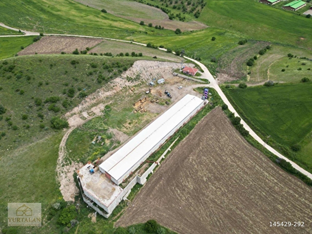 KREDİYE UYGUN BOL SU/ELEKTİRİK 350BAŞLIK SIYIRICILI HAZIR AHIR - Görsel 4
