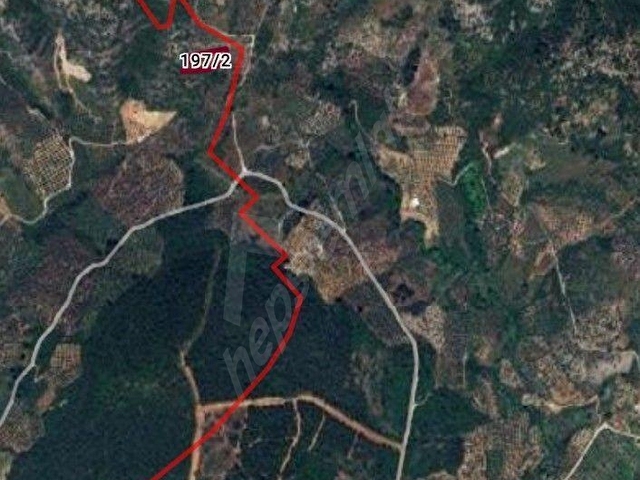 KACIRILMAYACAK FIRSAT SELCUK CAMLIKTA - Görsel 5