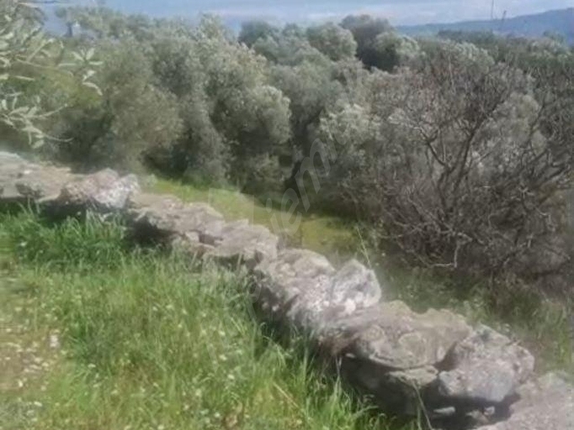 KACIRILMAYACAK FIRSAT SELCUK CAMLIKTA - Görsel 16