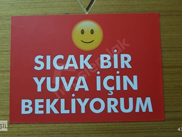 KOYUYEŞİLDEN  2 ARACLIK OTOPAKRLI  HOME OFİS DAİRE   SİTEDE  MARKET ÜSTÜ - Görsel 17