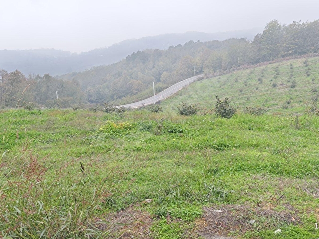 KARTEPE EŞMEDE SATILIK 10.363M² İÇERİSİNDE MÜSTAKİL EV - Görsel 10