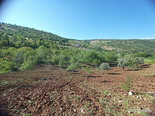 ACİL SATILIK - Görsel 3