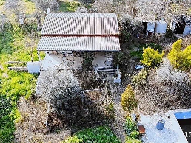 TİRE ÇAĞAN GAYRİMENKULDEN HAVUZLU MÜSTAKİL ZEYTİN BAHÇESİ - Görsel 11
