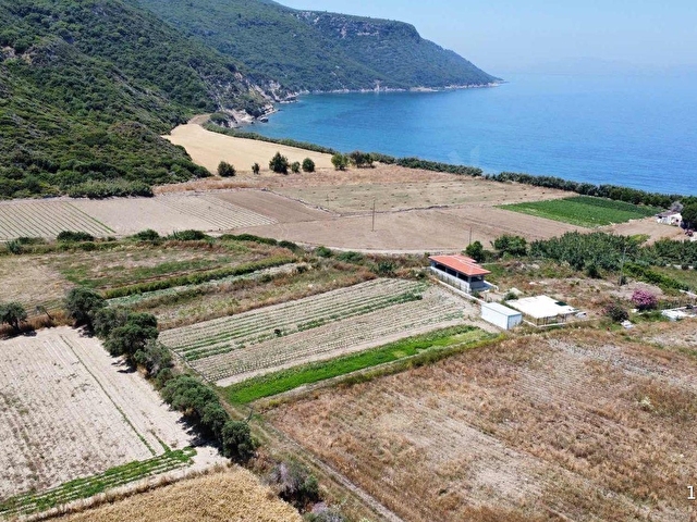 Körmen Emlaktan Denize 115m Müstakil Tapu 204 m2 Kupon Tarla - Görsel 10