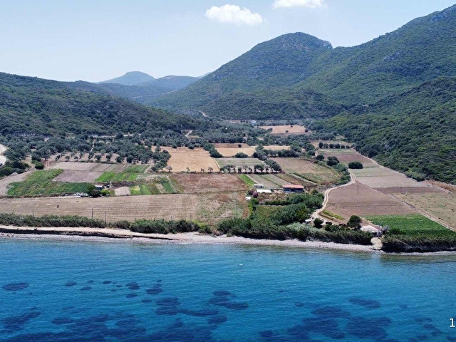 Körmen Emlaktan Denize 115m Müstakil Tapu 204 m2 Kupon Tarla - Görsel 6