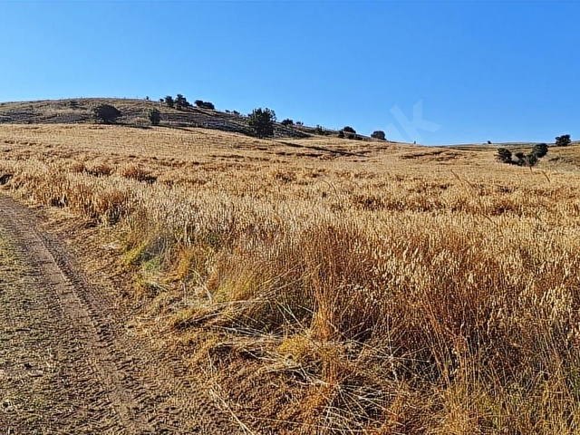 Isparta yalvaç salur 17891m2 tarla - Görsel 13