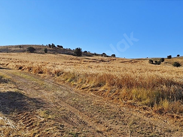 Isparta yalvaç salur 17891m2 tarla - Görsel 12